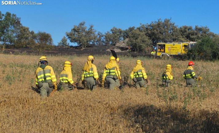 Operativo anti incendios de la Junta en un siniestro forestal en la provincia. /SN