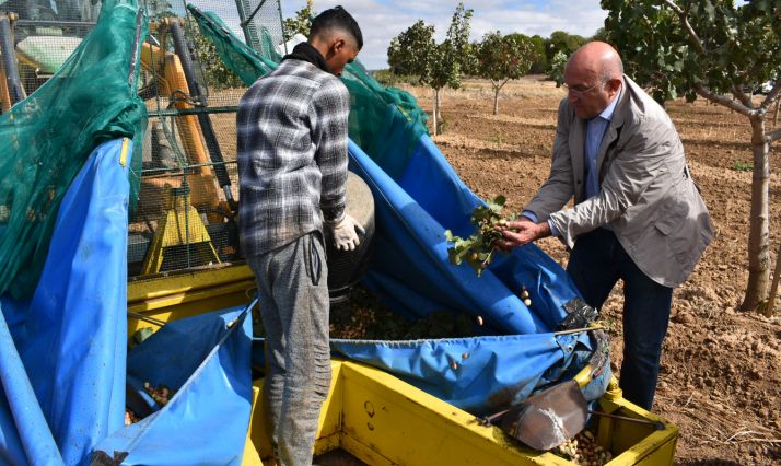 El consejero en un cultivo de pistacho este jueves. /Jta.