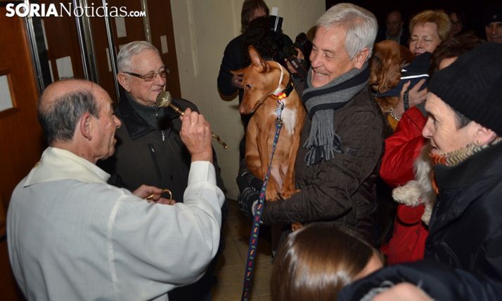 Este viernes, la bendición de animales en Santa Bárbara