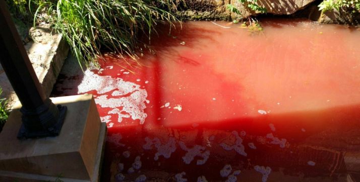 El PP exige una solución para los vertidos de sangre al Duero