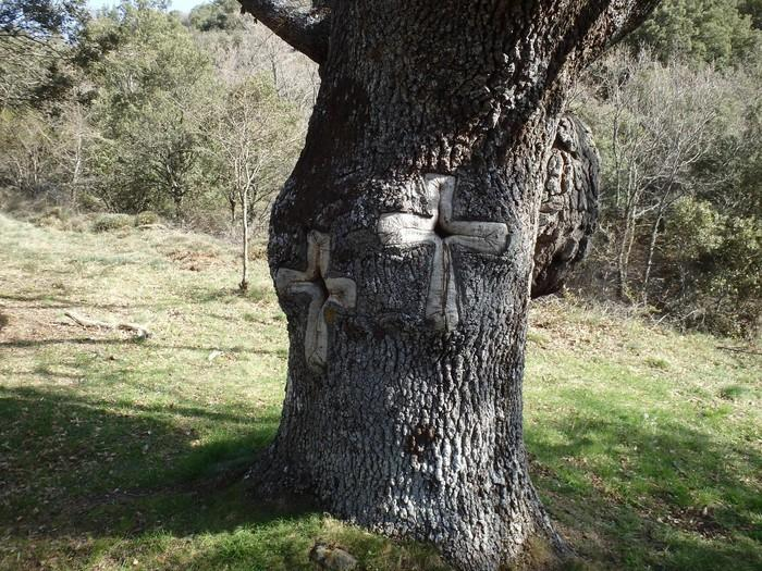 El Tío Chupina, un ladrón para la historia en Beratón