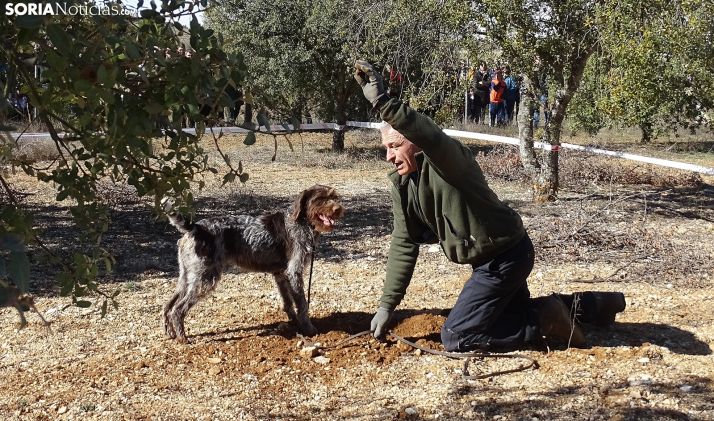 Cuando menos se espera... ¡salta la trufa!