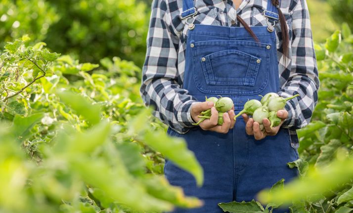 Un grupo de trabajo desarrollará un marco estable y equilibrado de la cadena alimentaria en CyL
