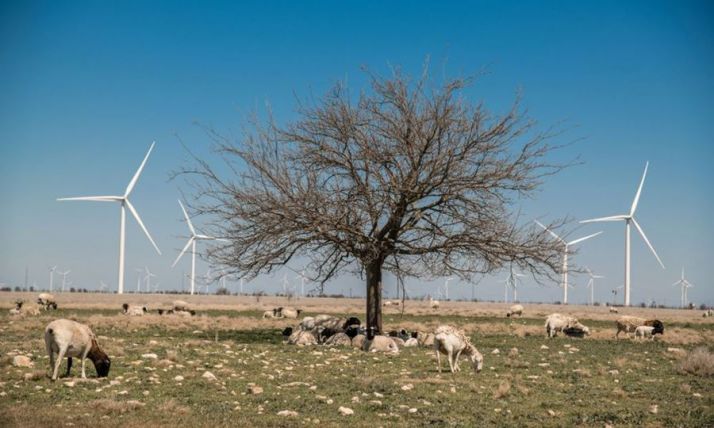 Siemens-Gamesa recibe un préstamo de 175 M€ para activos renovables