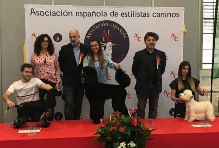 El soriano Carlos Romera, subcampeón de España de Peluquería Canina