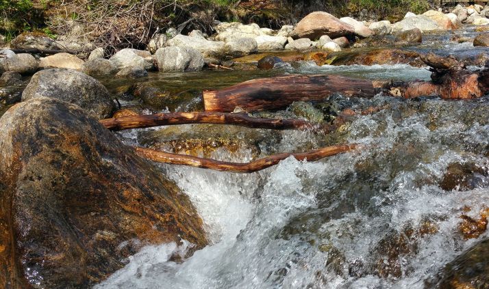 La CHE comienza la limpieza del Cidacos en Yanguas
