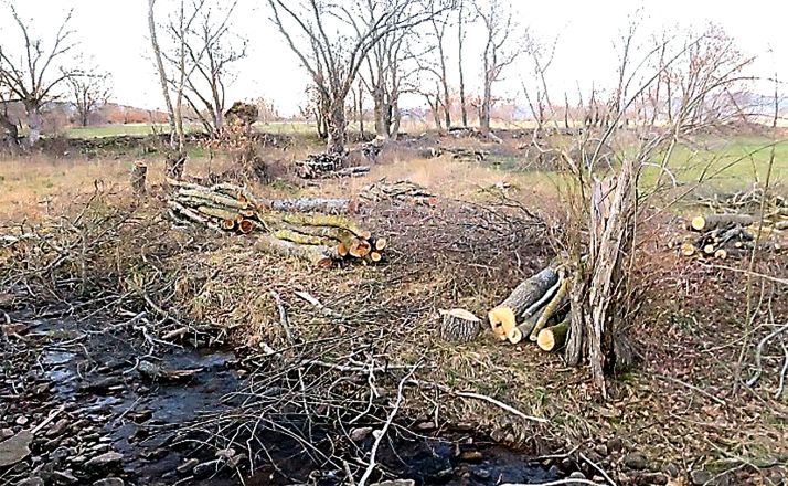 Una imagen de las cortas. /ASDEN