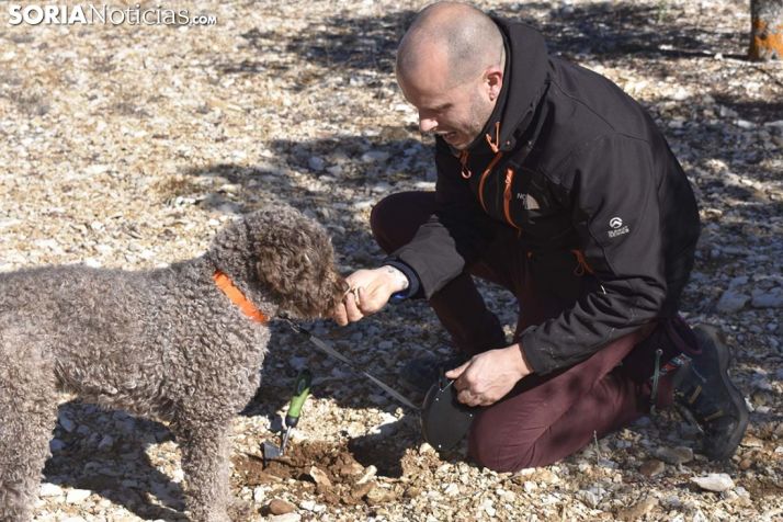 Feria de la Trufa de Soria, internacional y mayor de edad