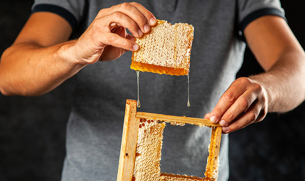 El CEIP Almazán convoca seis cursos no reglados durante los próximos meses