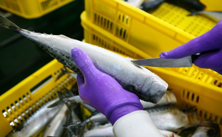 FECSoria elabora una guía de establecimientos abiertos en Soria durante la crisis sanitaria