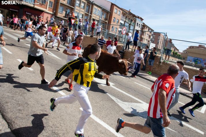 VÍDEO: Soria, pasión y encaste, himno de encierros y corredores sorianos