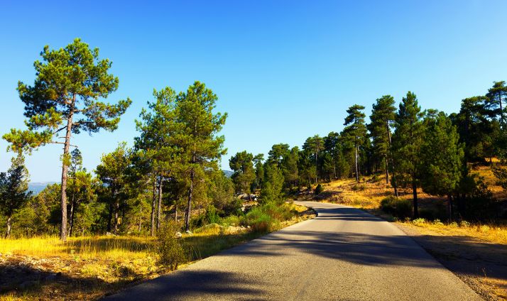 La Junta licita tratamientos silvícolas preventivos de incendios, por 1,4 M€ en las zonas de El Burgo y Quintana 