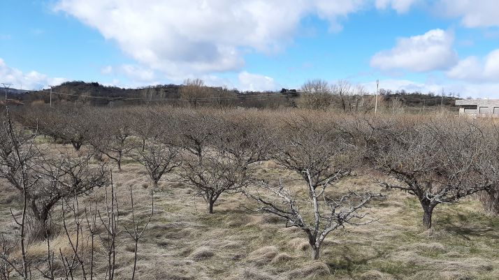 Una de las parcelas adquiridas. /AG