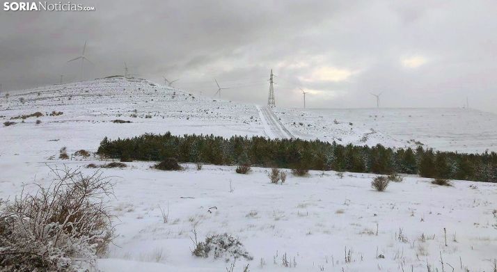 Una imagen de las proximidades de Oncala, en Tierras Altas, hoy martes. /SN