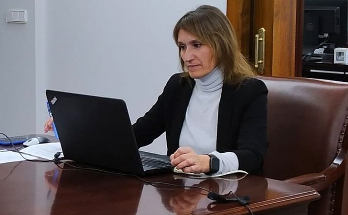 La consejera de Educación durante la vídeo conferencia con el ministro hoy. 