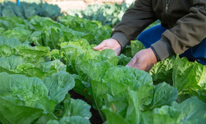 El presidente de la Junta garantiza todo el apoyo, refuerzo de medidas y flexibilización de trámites para asegurar la cadena alimentaria