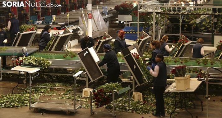 CCOO insiste en la viabilidad de Aleia Roses