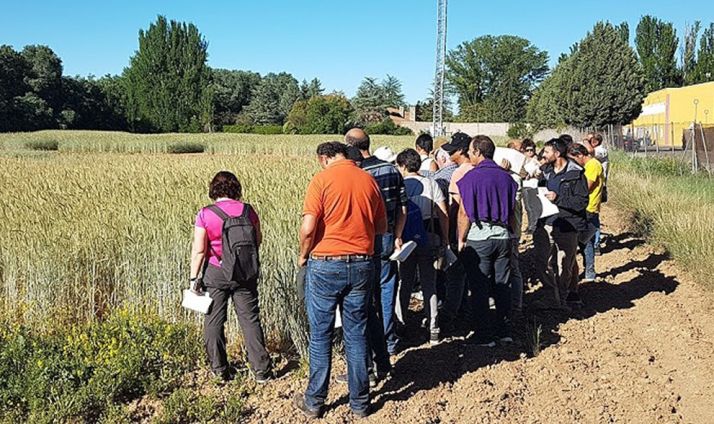 La Junta aprueba 6,2 M€ para estrategias de desarrollo local Leader