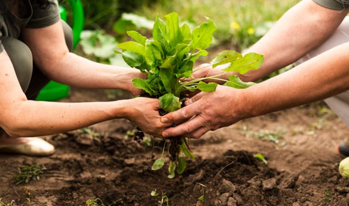 12,5 M€ para nuevos contratos plurianuales de las medidas de agroambiente y clima y de agricultura ecológica
