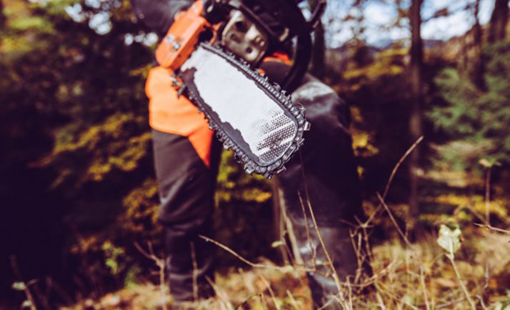 La Diputación recibirá de la Junta 340.000 € para contratar desempleados en tareas forestales