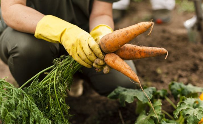 IU pide que sea autorizado el desplazamiento a los huertos