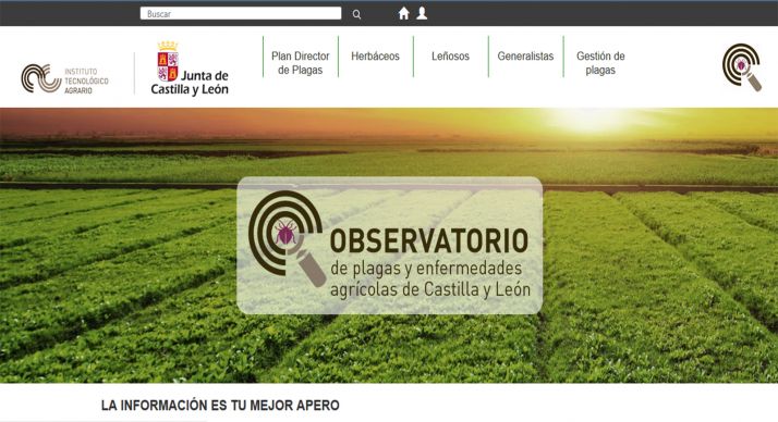Portada del observatorio de la Consejería de Agricultura en su web. 