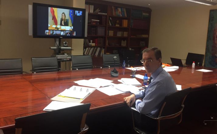 El consejero de Empleo e Industria, Germán Barrios, en conferencia sectorial vía internet. /Jta.