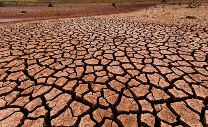 Se rebajan los módulos aplicables en el IRPF 2019 para agricultores y ganaderos sorianos afectados por sequía