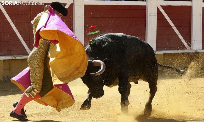 La Junta se compromete a estudiar acciones para colaborar con los ganaderos de lidia