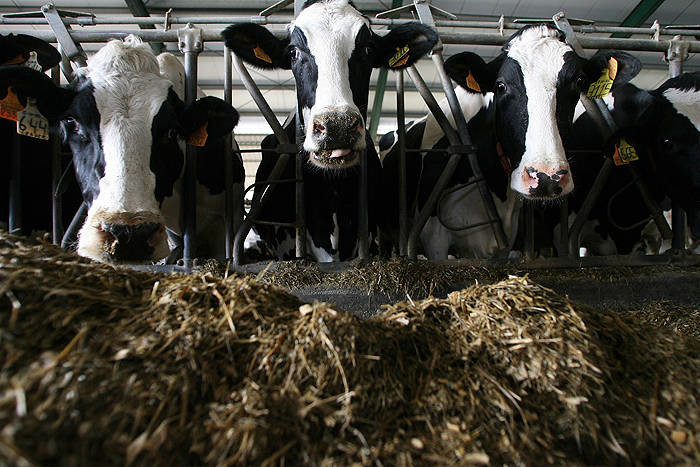 La Junta avanza en la nueva plataforma agroalimentaria Campo de encuentro