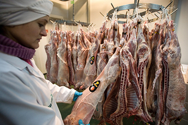 Lechazos y cochinillos de CyL se pueden ultracongelar con nitrógeno para resistir a la crisis del Covid19