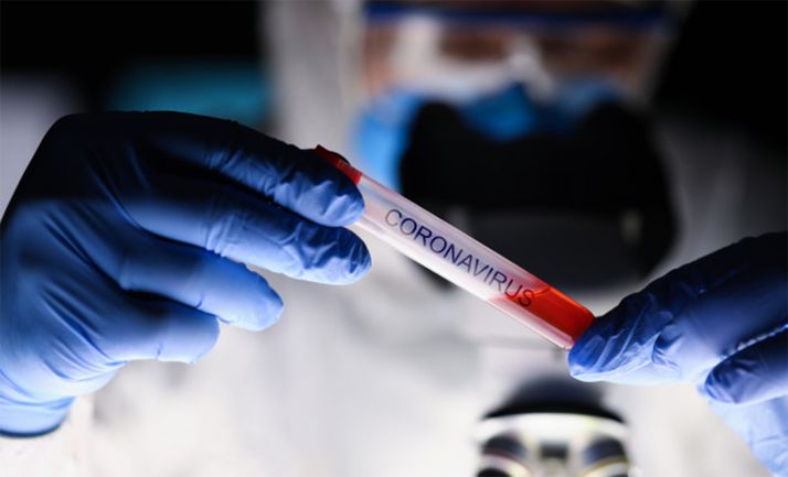 El trabajo continuo de los veterinarios durante el COVID-19, reconocido por la Junta