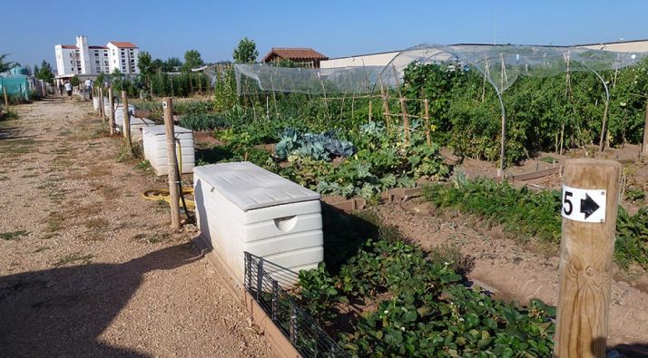 El Ayuntamiento de Soria establece medidas adicionales para preservar la seguridad en los huertos municipales