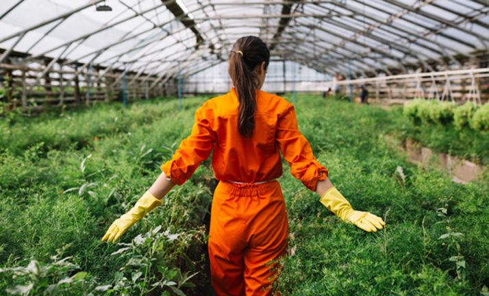 Las empresas agrarias, silvícolas y de alimentación se informan en FOES en la nueva convocatoria de ayudas de la Junta