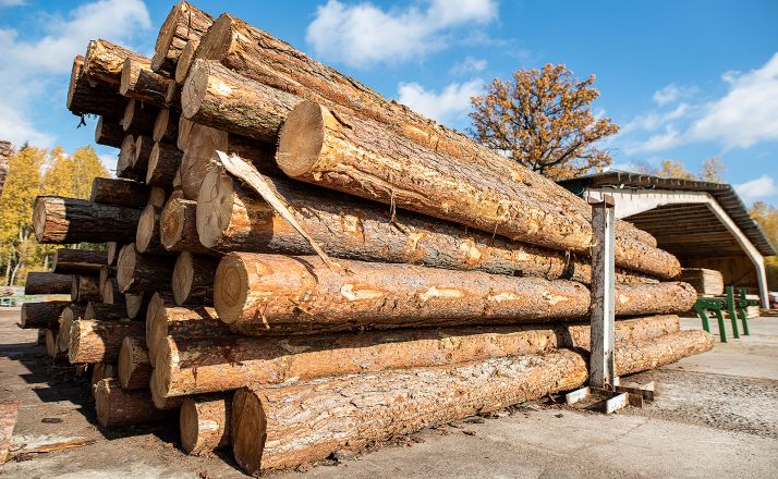 La Junta licita en Soria 23 lotes de madera valorados en más de 1 M€