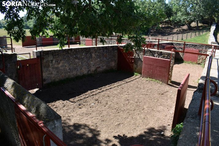 GALERÍA: Valonsadero asiste en solitario a un Desencajonamiento insólito