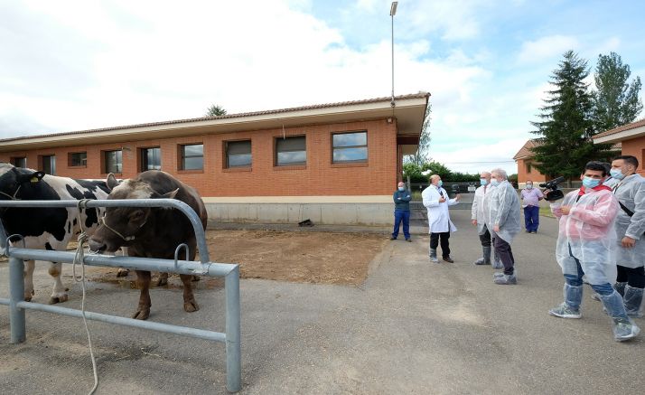 Imagen de la visita institucional al Censyra este lunes. /Jta.