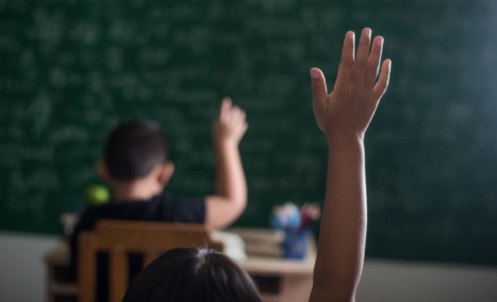 FSIE no ve necesario un nuevo colegio en Los Royales