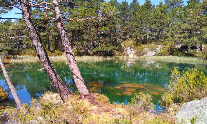 La Laguna Verde, en Vinuesa. /Cesefor