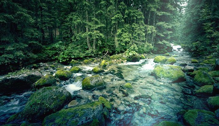 Los Pelendones celebran la Semana del Medio Ambiente con ecoretos diaros