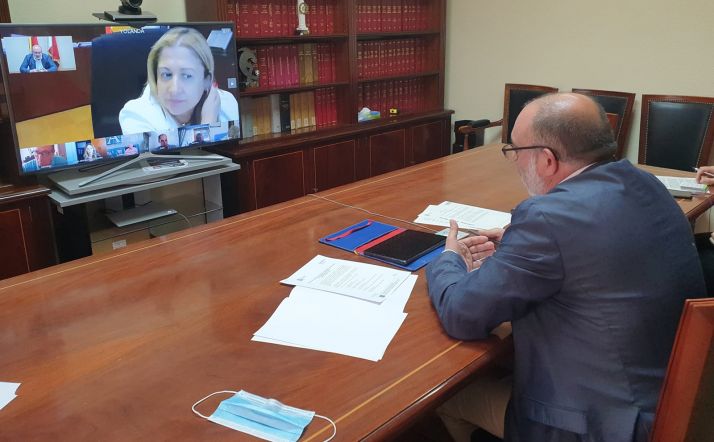 Una imagen de la videoconferencia