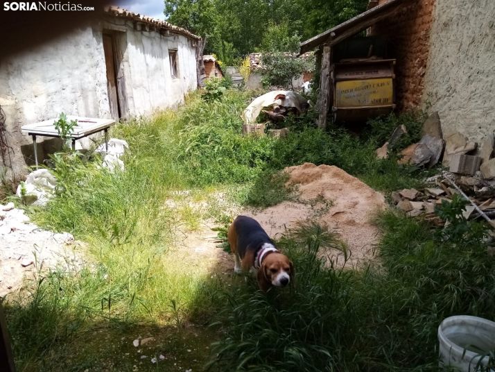 El estado de alarma se acaba. Así te espera tu pueblo