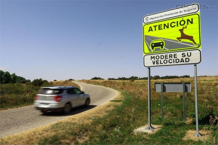 1 de cada 2 conductores ha tenido un accidente por encontrarse con un animal en la calzada