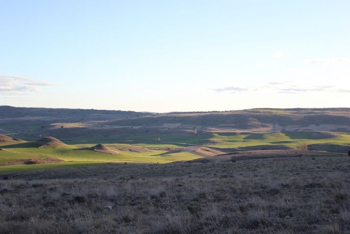 Diputación aprueba dos convenios con Barahona y Marazovel para mejoras de caminos dentro del proyecto LifeRicotí