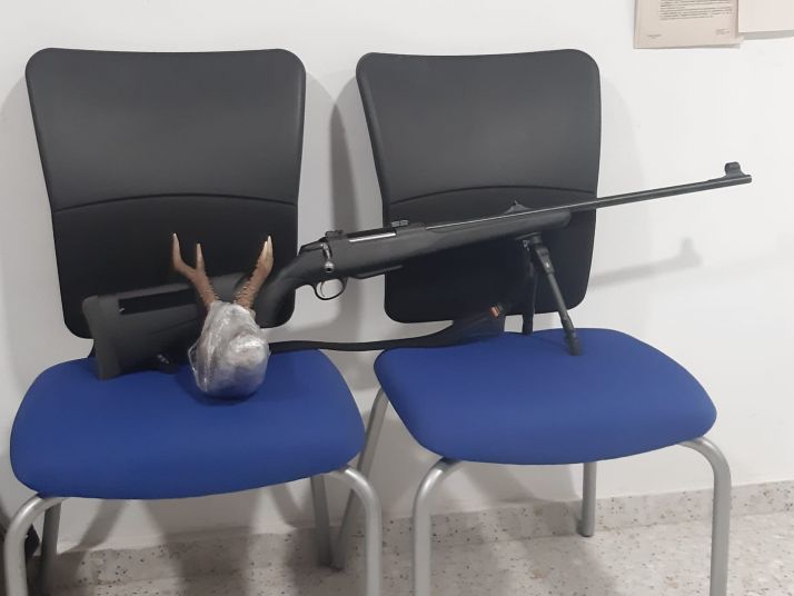 Sorprendido con una cabeza de corzo en el coche