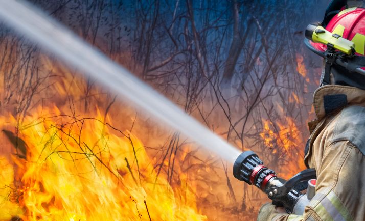 Activo un incendio forestal en Morón de Almazán