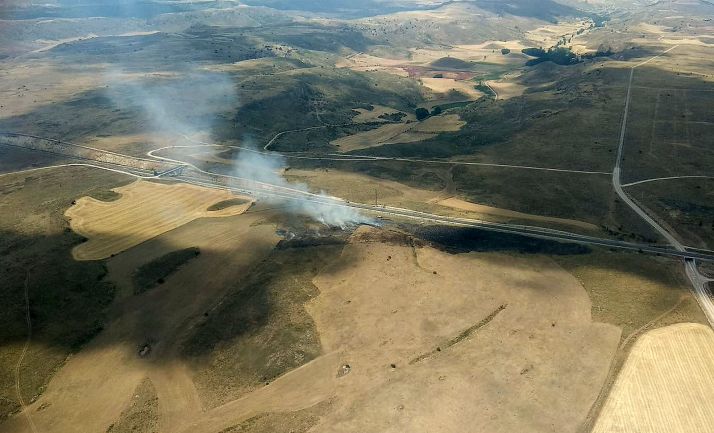 Arden 3,4 hectáreas de pasto en Medinaceli