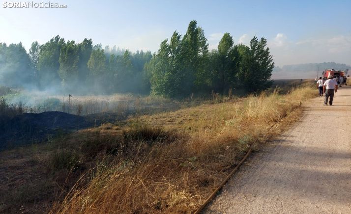 Sofocado el incendio de Matamala 