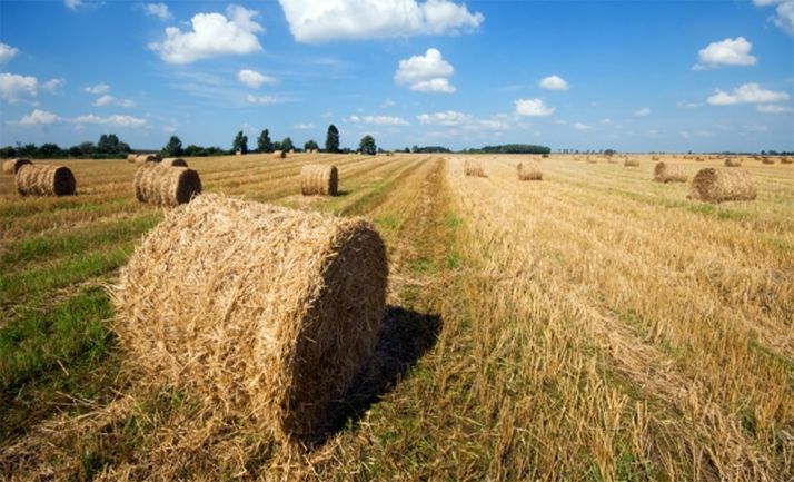 El mazazo a las ayudas de la PAC estrangulará especialmente al campo de Castilla y León