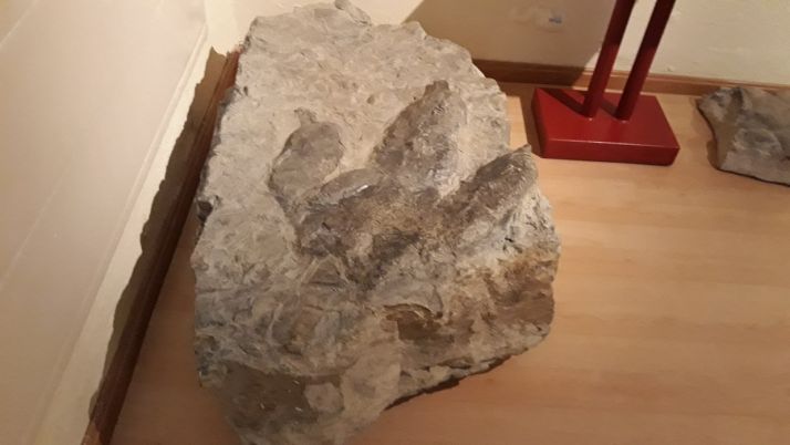 Aula Paleontológica de los Dinosaurios de Villar del Río.